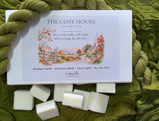 Autumn Walk Wax Melts
