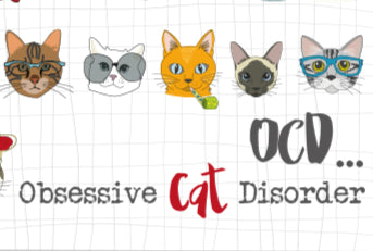 OCD... obsessive cat disorder A6 Notebook image 1