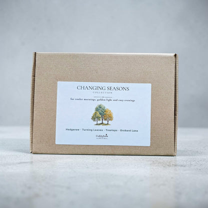Changing Seasons Full Size Collection Box