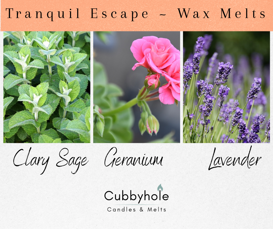 Tranquil Escape Wax Melts - Wellbeing